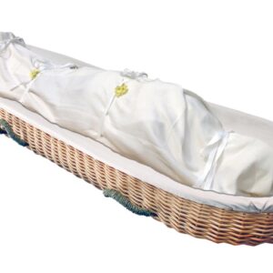 Willow Shroud with Carrier